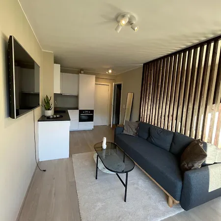 Modern Apartment Only 5 Minutes From City Centre Bergen Buitenkant foto